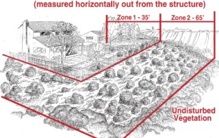 Brush Mangement Zones