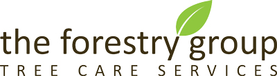 The Forestry Group Logo